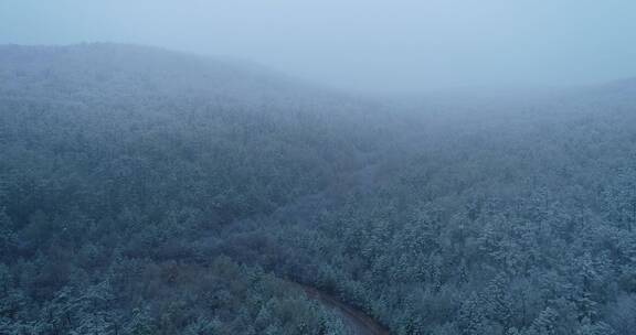 航拍大兴安岭春季林海雪原雾凇