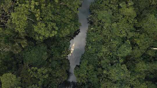 独木舟，雨林，亚马逊河，厄瓜多尔