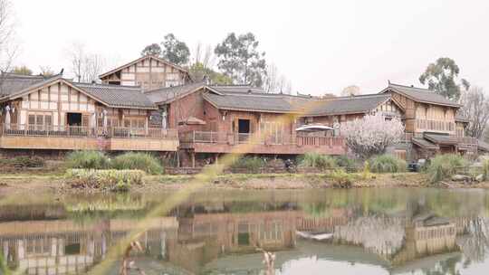 天府正兴 官塘 村落 田园 乡村 村庄