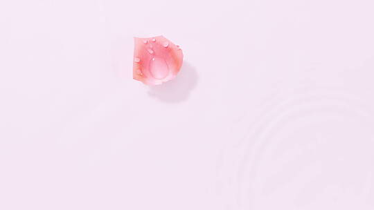 飘浮在水中的粉色花瓣唯美素材