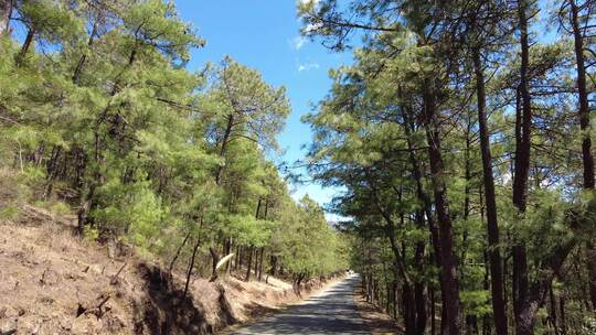 山间公路交通实拍