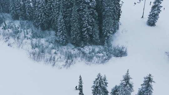 高空滑雪者在美丽的山地森林景观骑行下坡