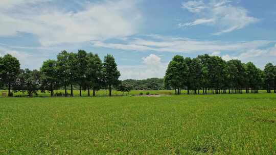 中山崖口村