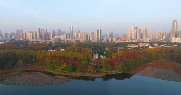 武汉东湖风景区深秋风光