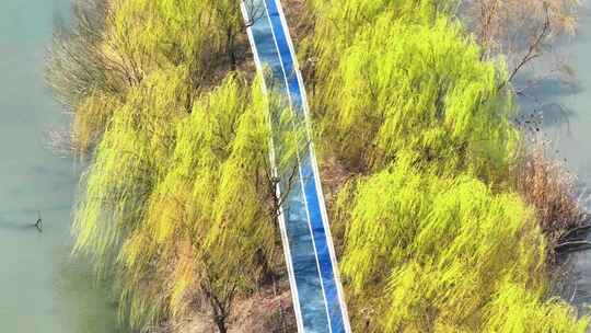 航拍北湖湿地公园树林湖泊河流空镜河岸视频素材模板下载