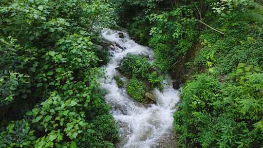 山间流动的溪水