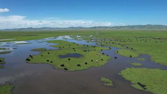 四川阿坝州若尔盖大草原湿地航拍自然风光