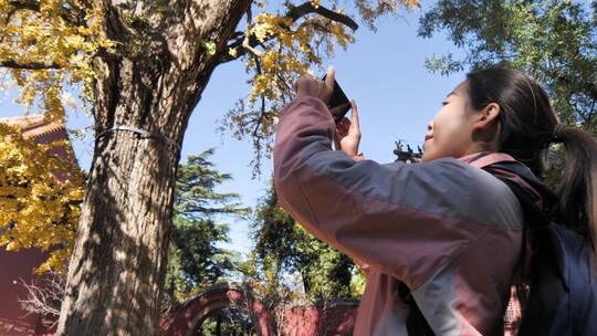 中国女人在岱庙古建筑树林旅游漫步拍照