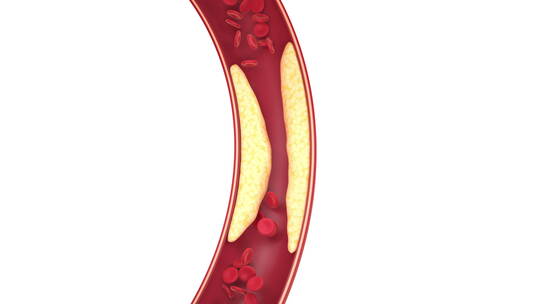 血管中的脂肪与细胞 3D渲染视频素材模板下载