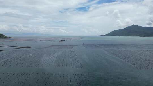 汕头南澳岛海水养殖基地海洋牧场