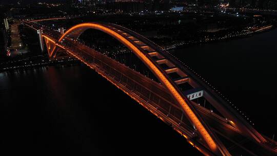 上海新冠疫情卢浦大桥夜景大景航拍