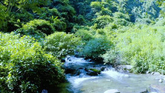 高黎贡山的水溪流4K