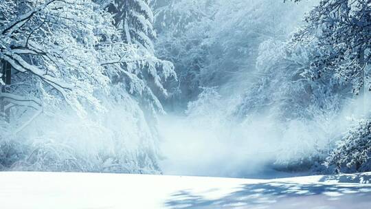 美丽的大自然冬天冰雪雪景特写视频素材模板下载
