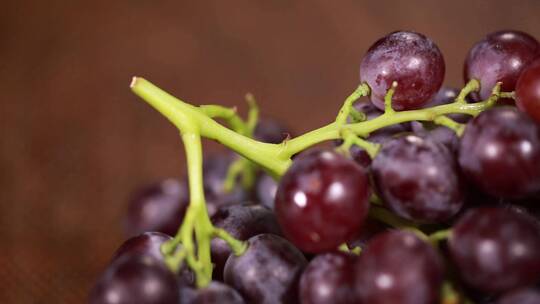 【镜头合集】微距葡萄杆葡萄串