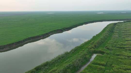 鄱阳湖风景航拍湖泊湿地公园草地河流风光