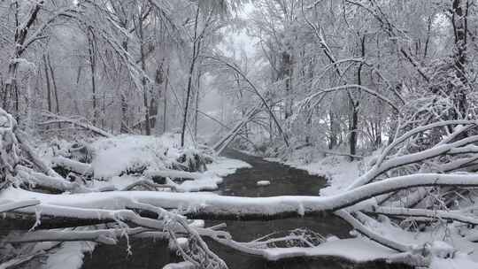 东北冬天长白山寒冷河流不冻河雾凇雪景