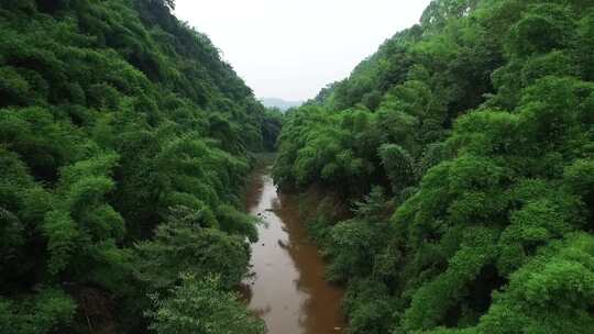 航拍夏季雨后竹林溪流自然风景