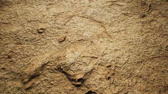 特写干燥土壤地面4K