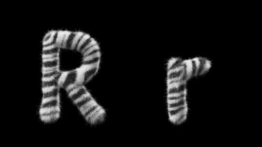 大写和小写斑马羊毛字母R的3D动画