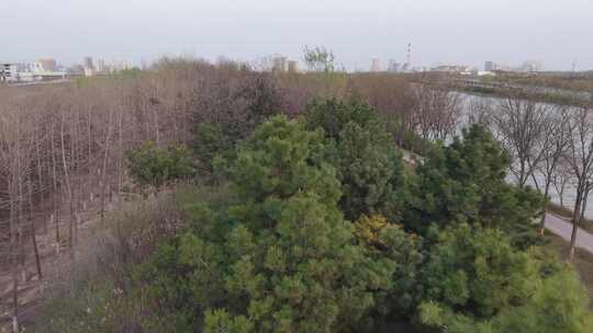 城市边缘树林河流鸟瞰