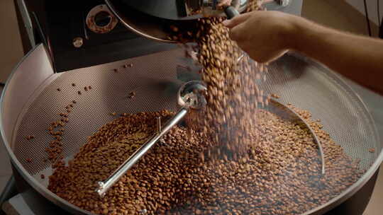 咖啡豆从烘培机中倒出来视频素材模板下载