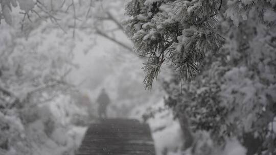 黄山 雪景 雾凇