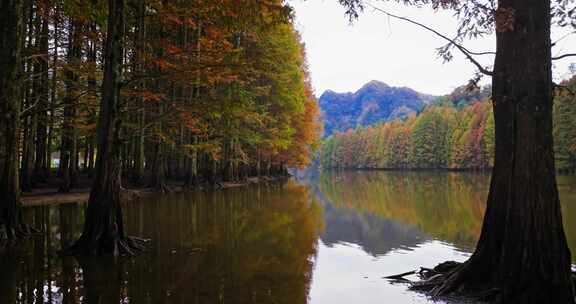 秋天的米仓山秦岭黄柏塬