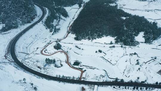 冬季白雾白雪覆盖森林高速公路乡村公路