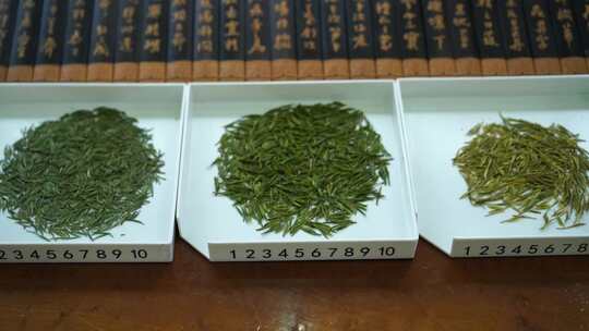 茶叶 茶 品茶 采茶制茶 茶山 摘茶