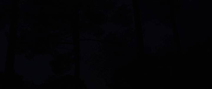 夜晚闪电的森林