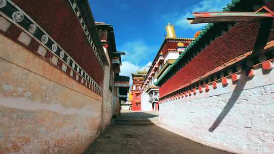 阿坝各莫寺建筑蓝天白云飞鸟