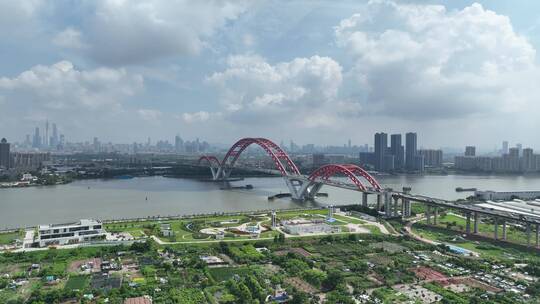 广州珠江新大大桥视频素材模板下载