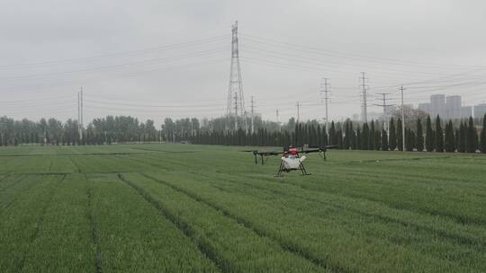 农业大疆植保无人机洒农药现代农业科技