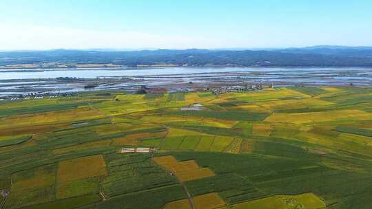 航拍松花江湿地和大地稻田