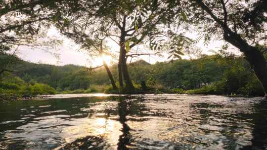 4K拍摄日落时分溪水流动的山间树林视频素材模板下载