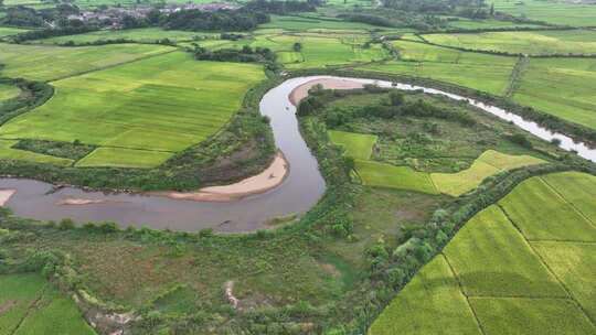 江西金溪：蜿蜒河流灌溉金黄的稻田水稻丰收