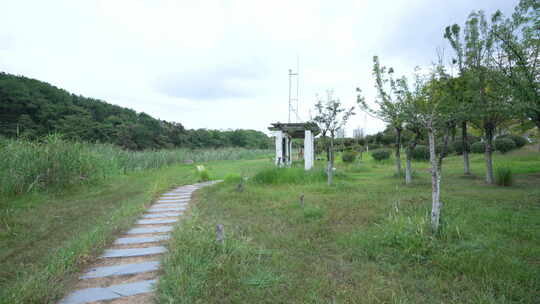 武汉江夏区藏龙岛国家湿地公园