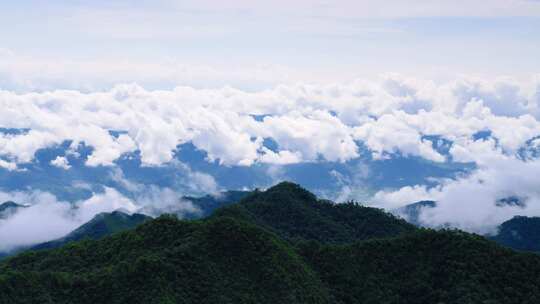 茶山 山川 云海 云南原始森林 大好河山