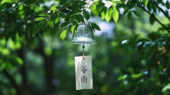 谷雨雨春雨水