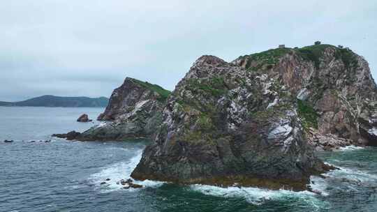 海岛 湿地鸟类