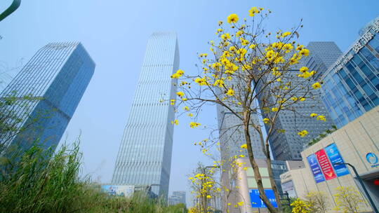 南宁五象新区街景 现代化高楼林立城市穿梭