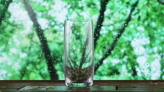 下雨天开水冲泡玻璃杯里的绿茶
