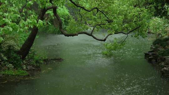180 杭州 风景 古建筑 下雨天 小溪 树枝