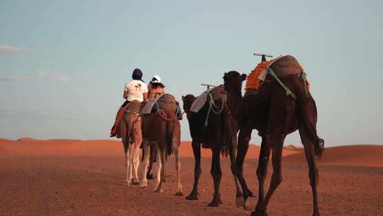 带领骆驼车队和游客穿越沙漠视频素材模板下载