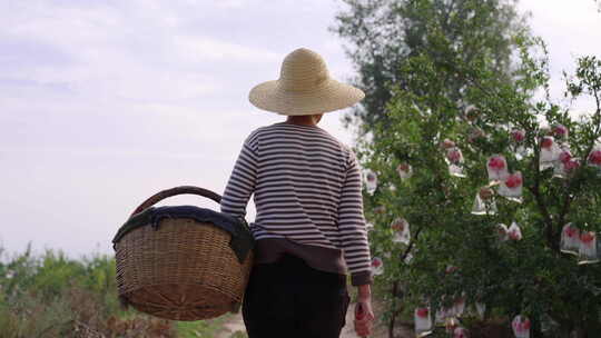 乡村振兴三农农业乡村农村现代农业新农村