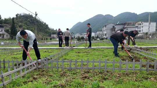 劳动空镜刨土锄地农场工人耕作劳作翻土