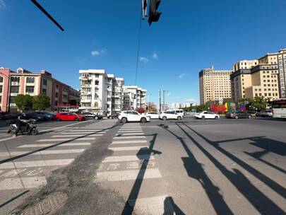 闵行区虹梅路街景