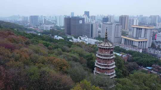 武汉洪山区宝通禅寺航拍