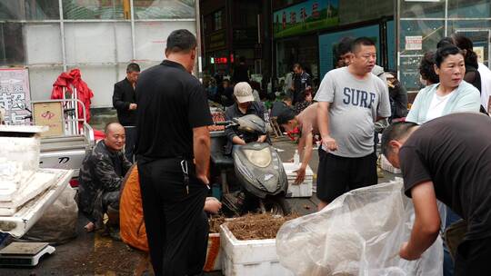 中国东北人参交易市场的人生百态