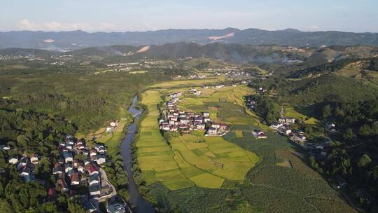 航拍秋天金黄稻田美丽乡村田园